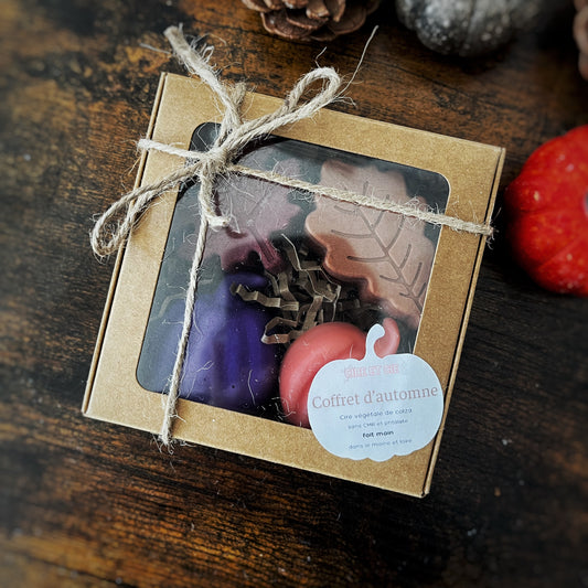 Coffret de fondant - automne Cire et cie
