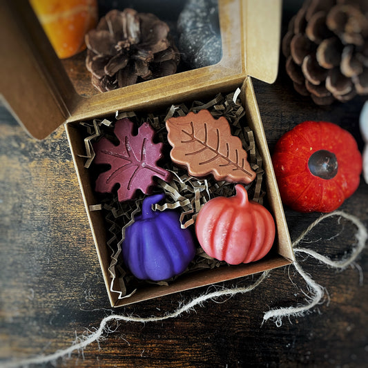 Coffret de fondant - automne Cire et cie